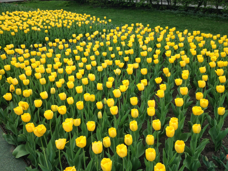 2 мая. Парк Горького