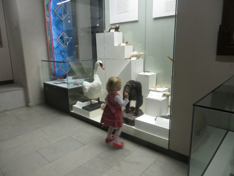 Дарвинский музей