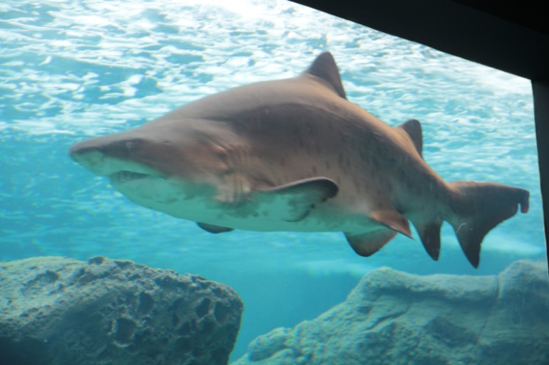 Наше путешествие в частичку Греции. остров Крит.