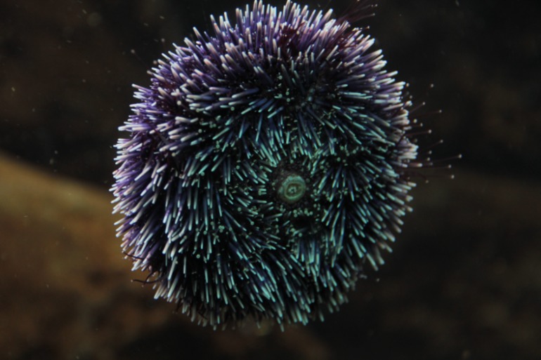 Наше путешествие в частичку Греции. остров Крит.