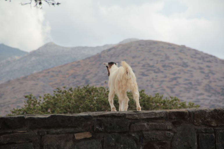 Наше путешествие в частичку Греции. остров Крит.