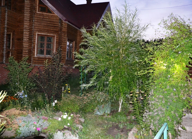 А вот и наш Дом!