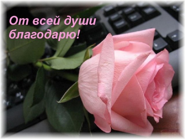 94f953726458990700341412b3df5990.jpg