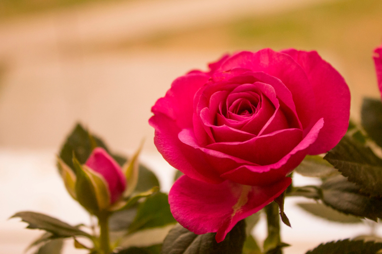 Хвастаюсь)))