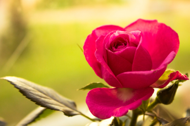 Хвастаюсь)))