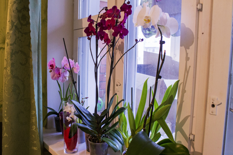 Большоооой цветопост!!!