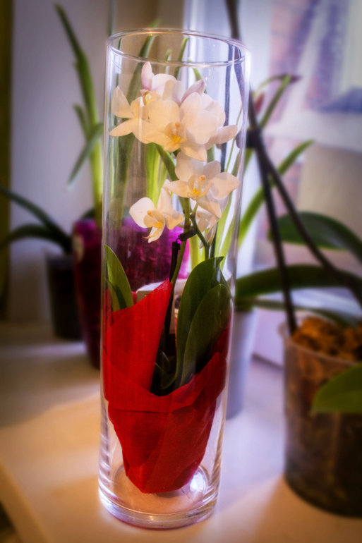 Большоооой цветопост!!!