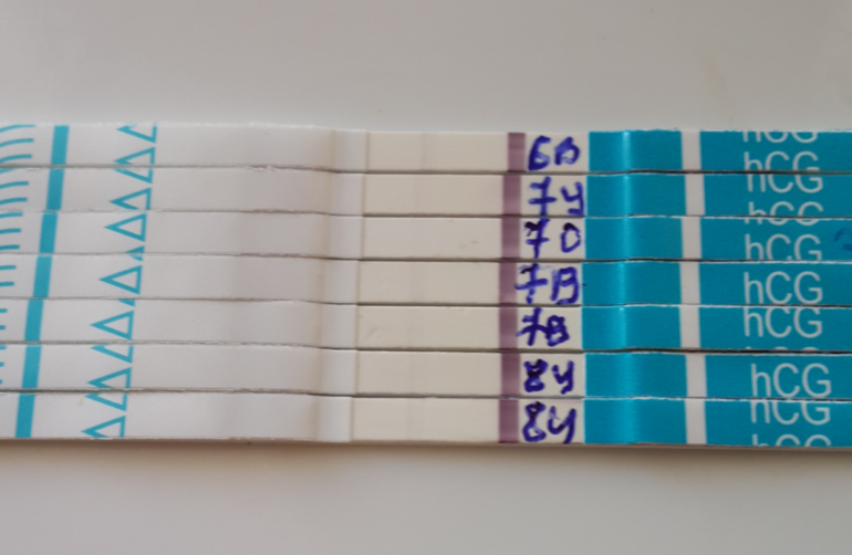 Тест после инсеминации. 8 День после зачатия. Тест на 8 день после зачатия. Четвертый день после зачатия. 6 ДПО тест.