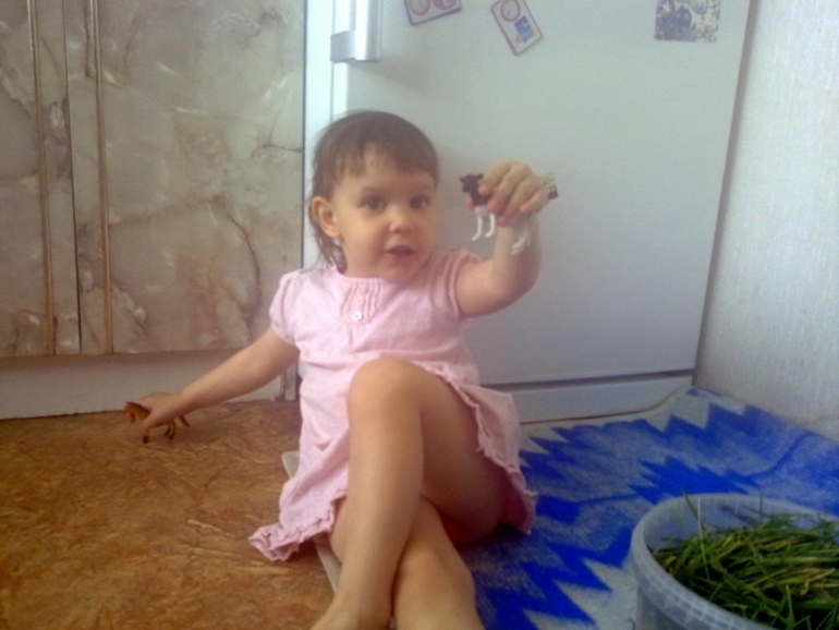 ФМ Домашние животные День 1