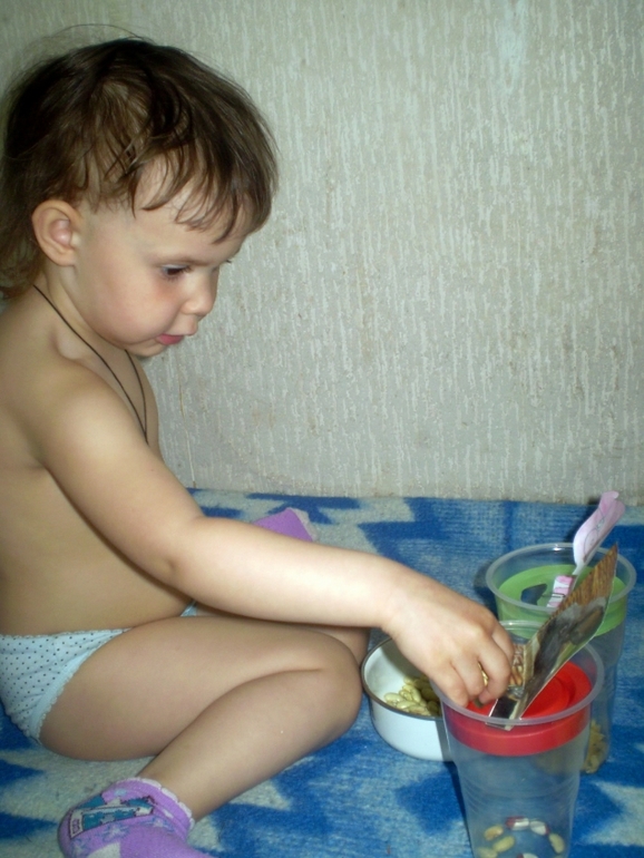 ФМ Домашние животные День 1