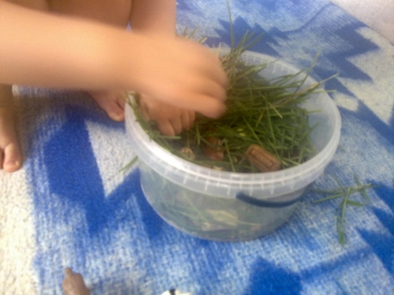 ФМ Домашние животные День 1