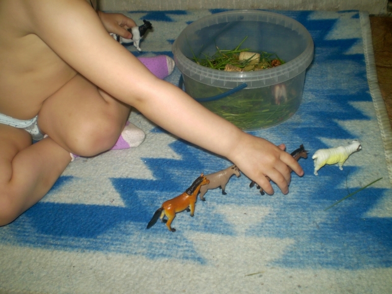 ФМ Домашние животные День 1