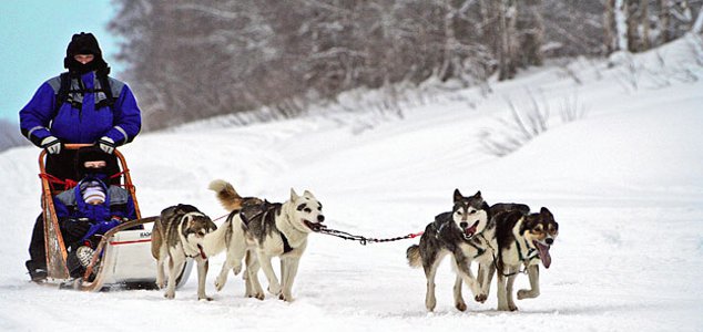 В гости к Санта Клаусу! Финляндия. Романиеми.