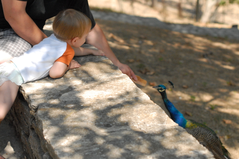Греция по чуть-чуть)