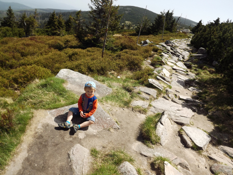 Шпиндлерув Млын