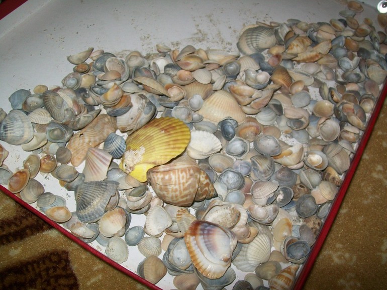 ТН Море №2 Подготовка