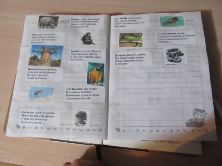 Флешмоб. ТН