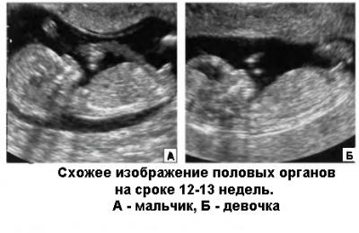 724fb8b920ff86189c4ac4115b39be85.jpg