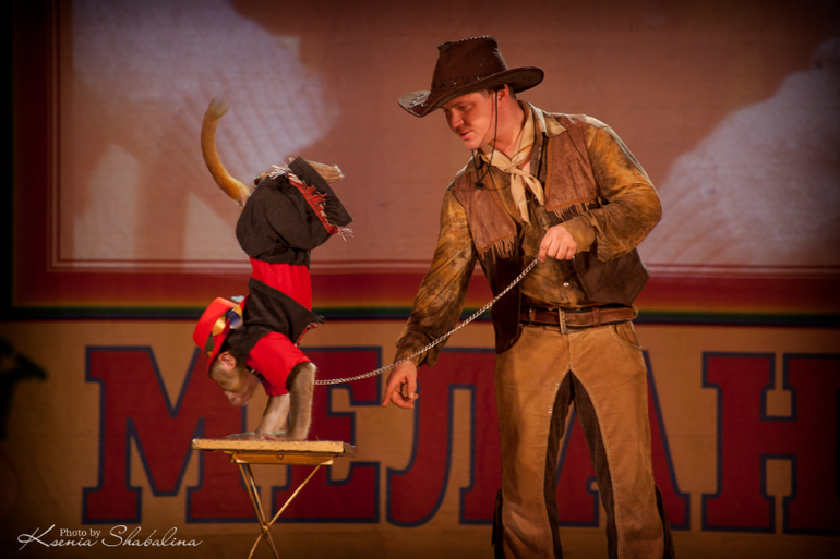 Цирк приехал)