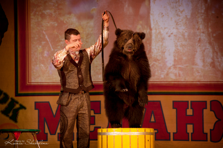 Цирк приехал)