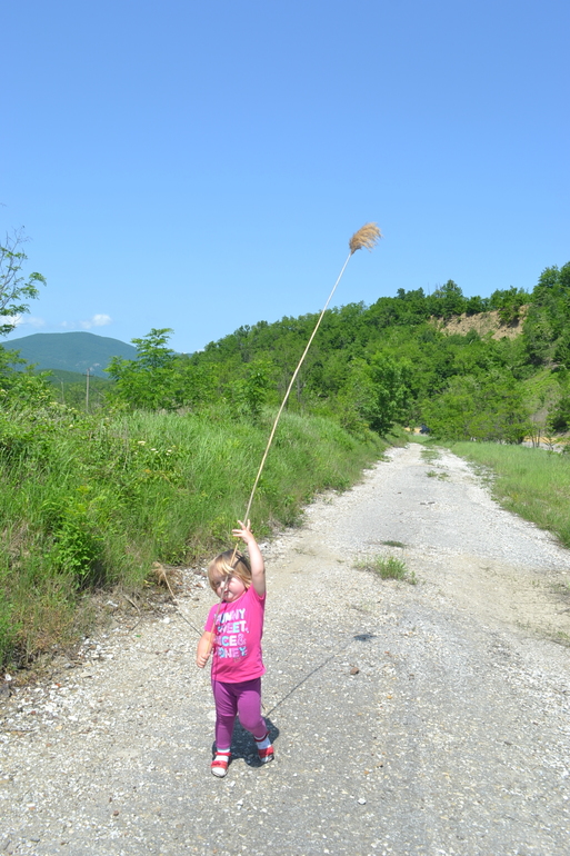 2 года 3 мес.