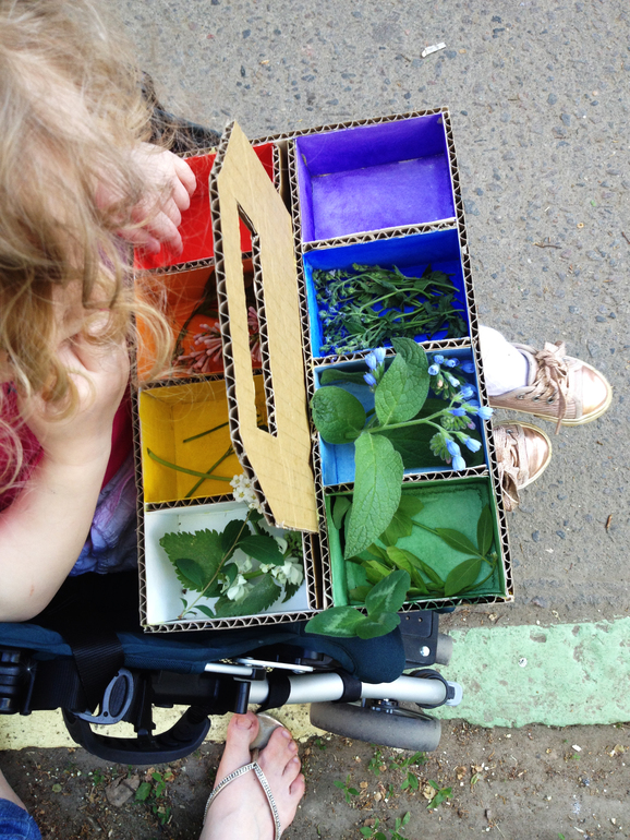 Цветовая коробочка