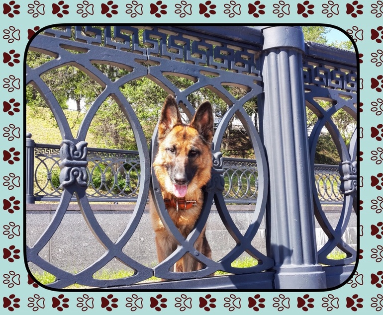 Изобретательная помощница.