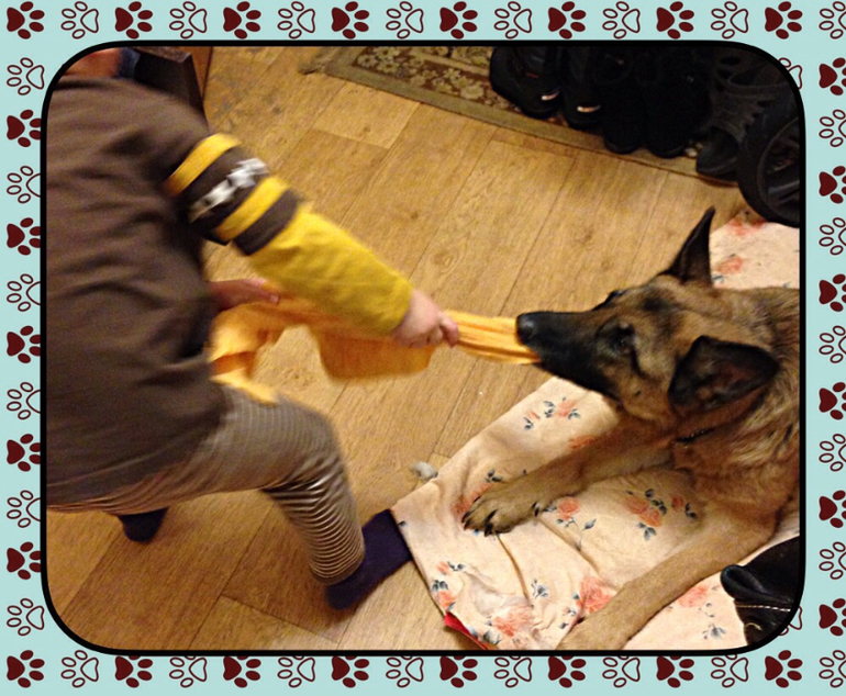 Изобретательная помощница.