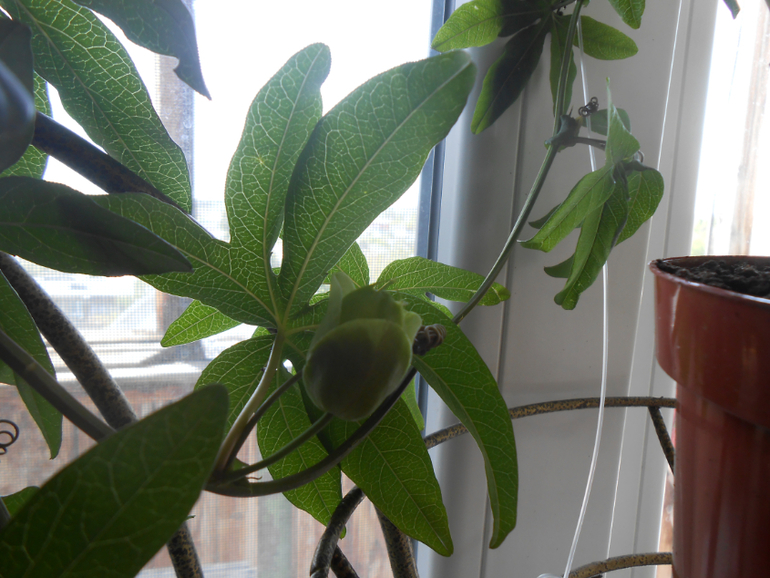 Вопросики.)