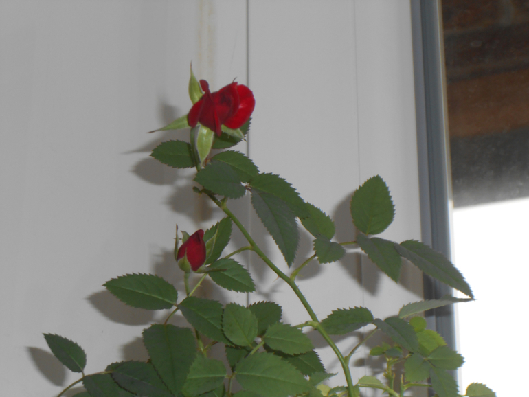 Мои любимые чувствуют весну)))