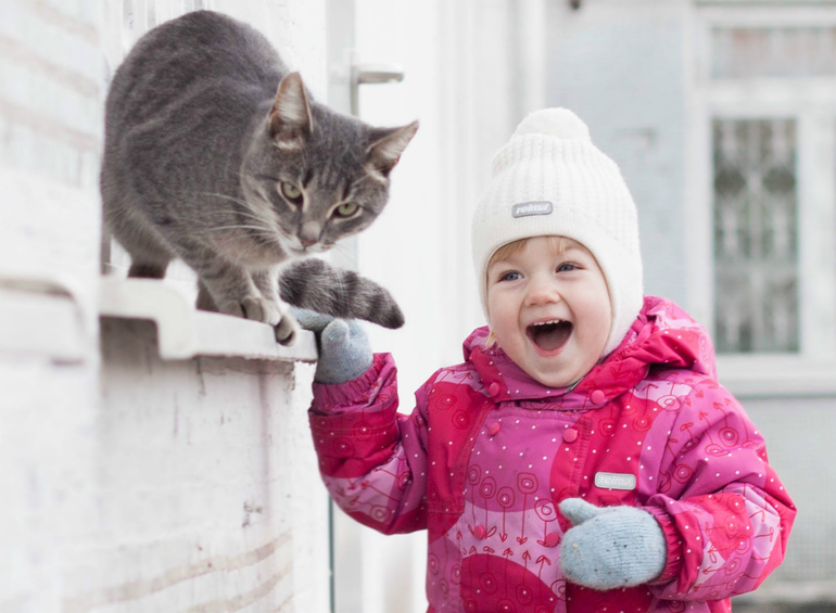 любимая дворовая кошка)