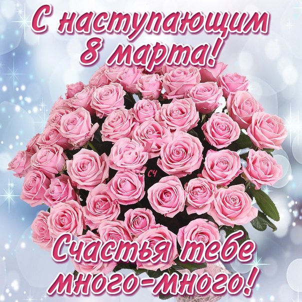1d00938af46c52fdb2a8f50220122ccb.jpg