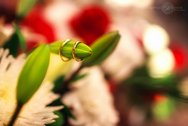 Свадьба Анны и Алексея