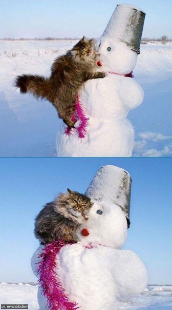 Снеговики