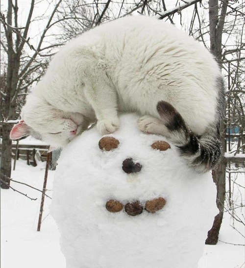 Снеговики
