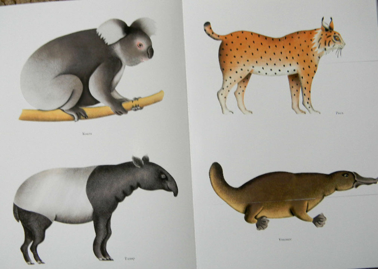 ЖИНЕВОТЫ -мой отзыв о книге...