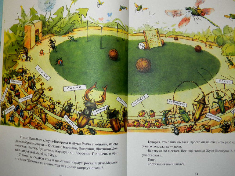 "Репортаж со стадиона Жукамо"