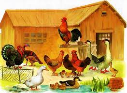 Главный пост по ФМ Птичий Двор