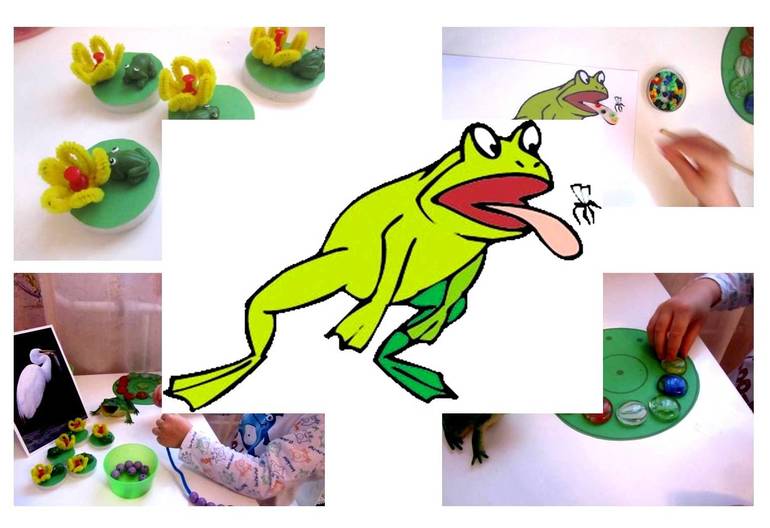 ТЗ История жизни одной лягушки