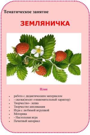 ГОТОВЫЙ ПЛАН Тематических неделек и Занятий от мала до велика