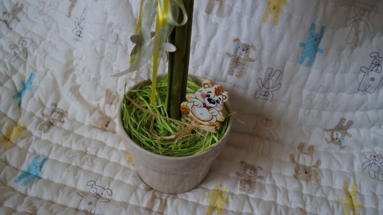 Мои первые попытки