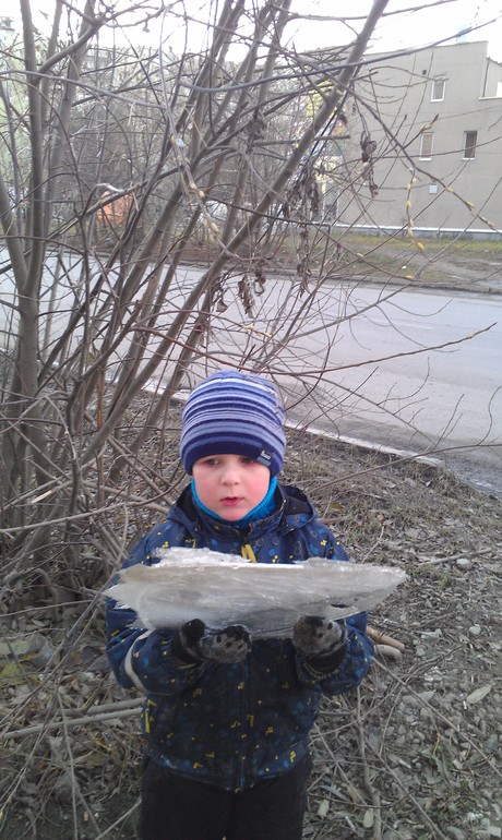 Сюрпризы природы