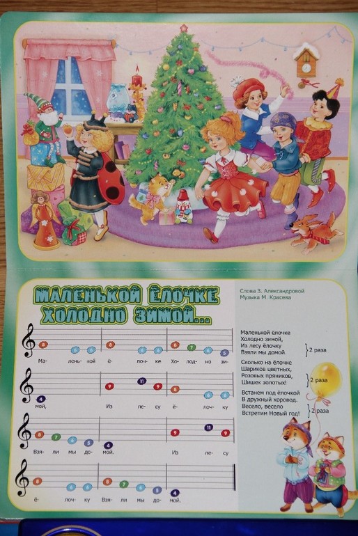 Новогодние музыкальные книги