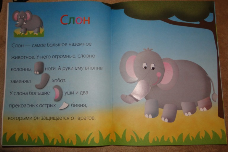 ТН Африка день 2 и 3