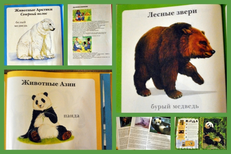 ТЗ "Медвежата"