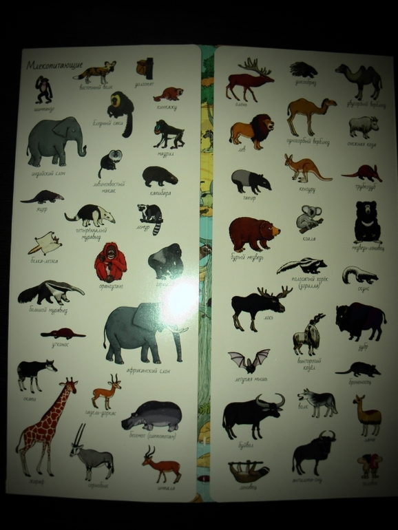 2 любимые книги!