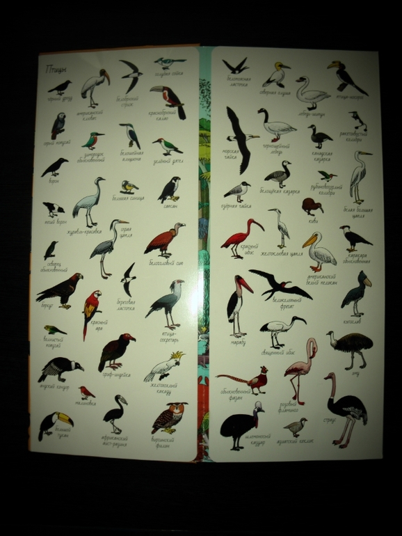 2 любимые книги!