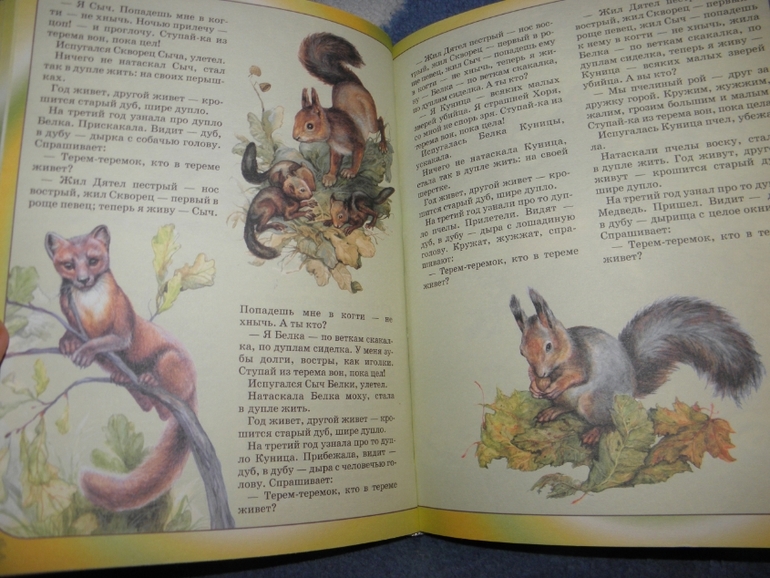 Дневник читателя (февраль)