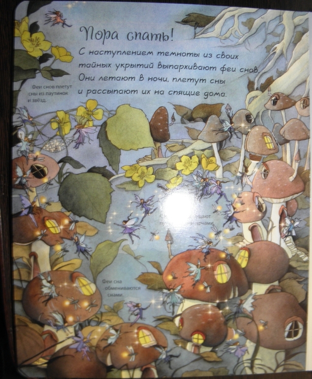 Хотите узнать как живут феи и эльфы!?