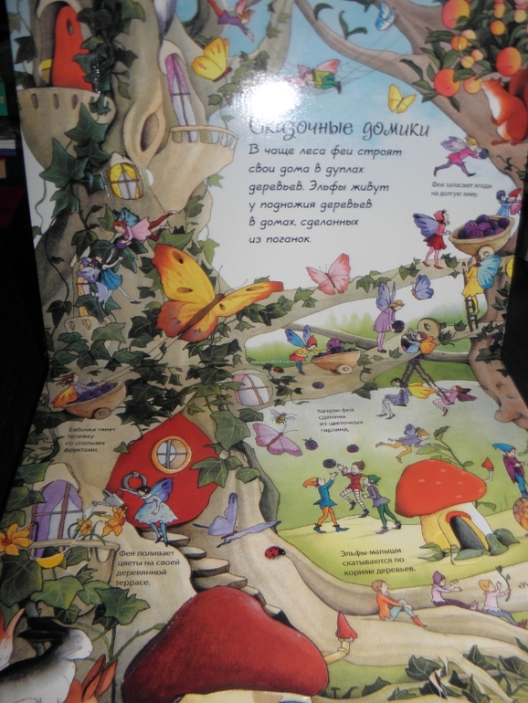 Хотите узнать как живут феи и эльфы!?